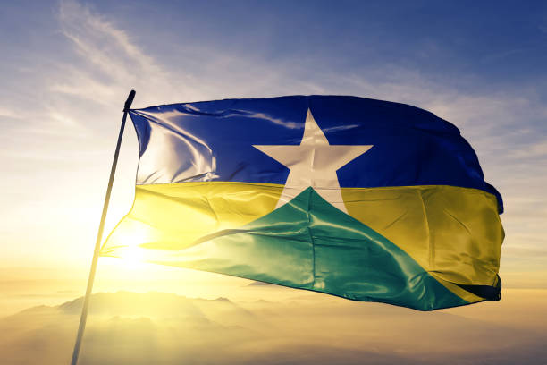Bandeira do Estado de Rondônia