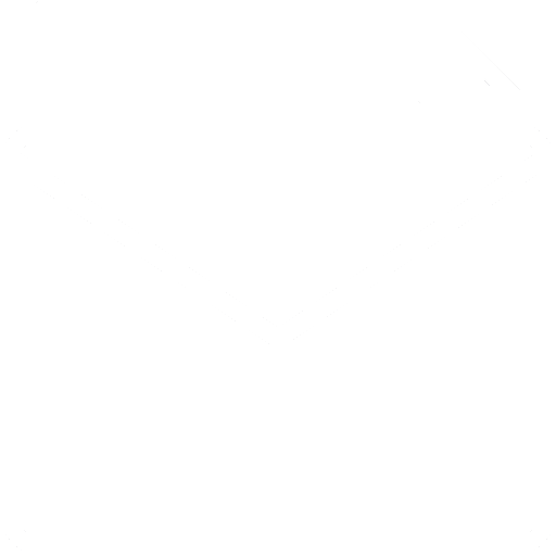 Ícone da transparência sus